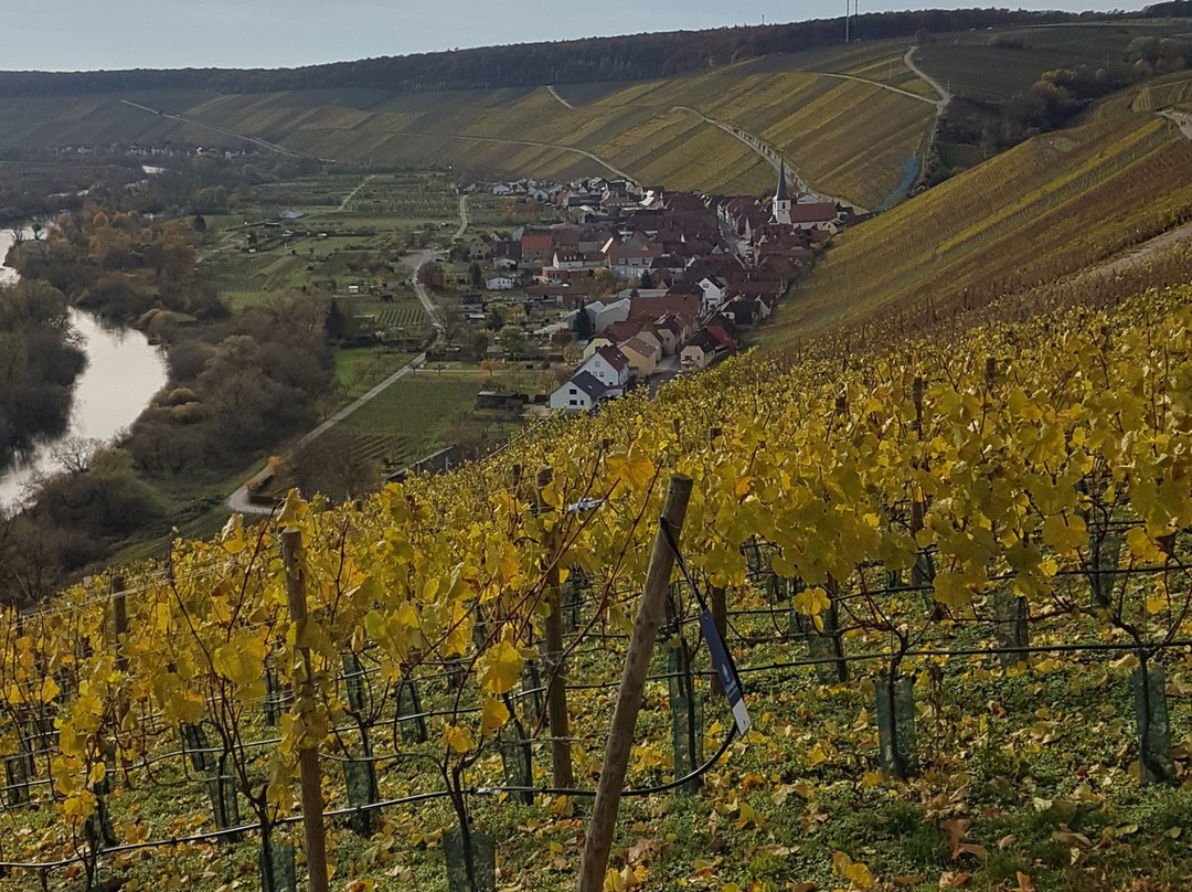 Weingut Horst Sauer景点图片