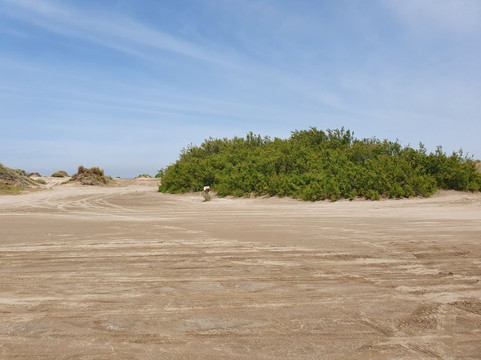 Guido旅游景点-Parque Nacional Campos del Tuyu