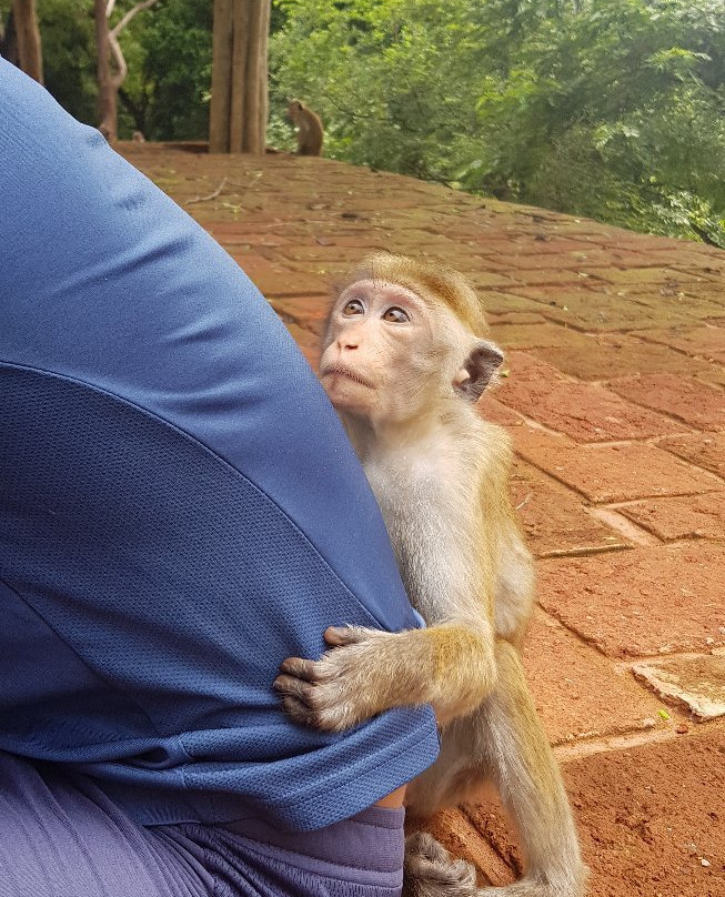 普赖米特中心旅馆主图