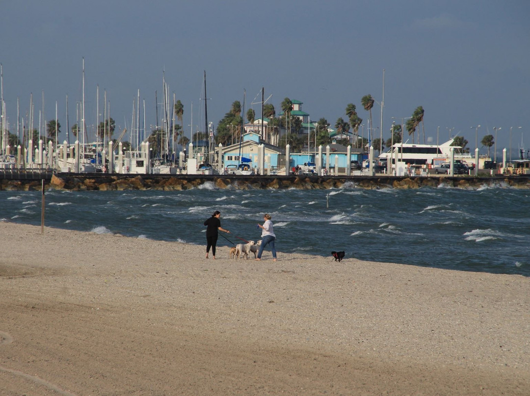 McGee Beach-科珀斯克里斯蒂市必去景点