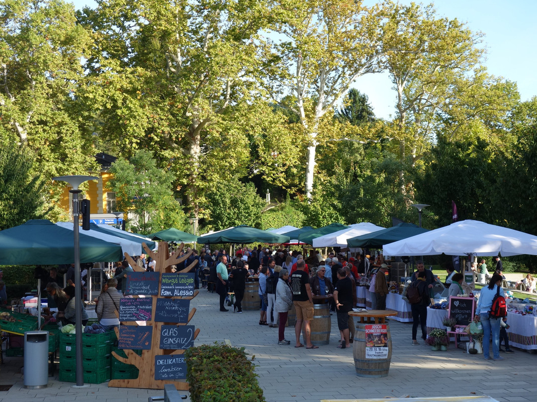 Vulkanlandmarkt-泉格莱兴山必去景点