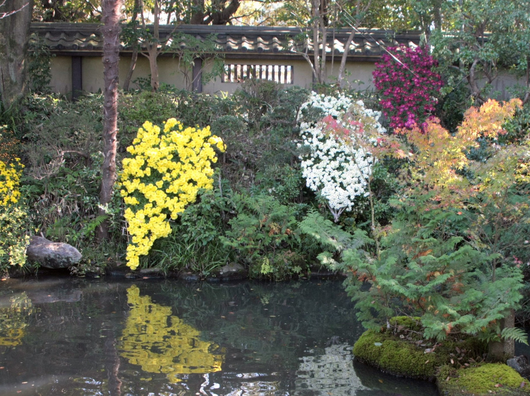 Kasama Chrysanthemum Festival-笠间市必去景点