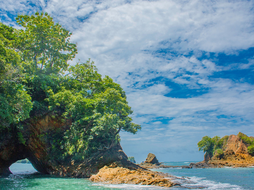 Bocas del Mar Activities景点图片