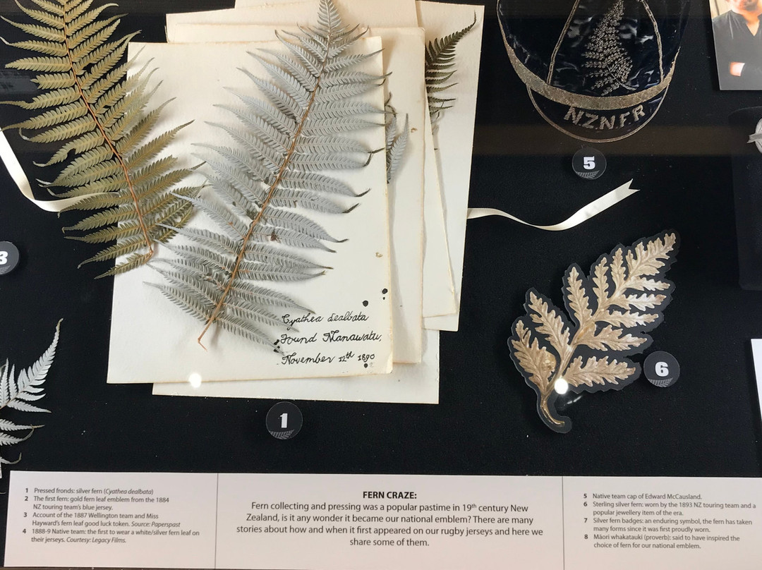 New Zealand Rugby Museum-北帕墨斯顿必去景点