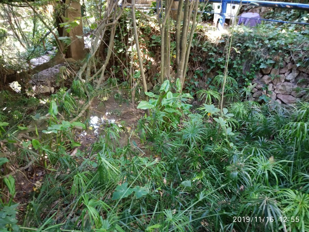 Jardin de los Sentidos主图
