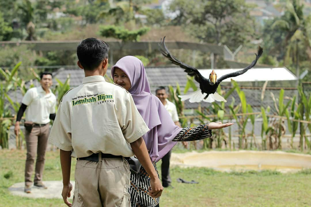 Taman Lembah Hijau Lampung景点图片