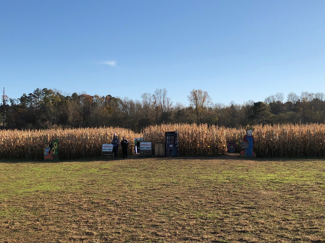 Uncle Shucks Corn Maze and Pumpkin Patch-道森维尔必去景点