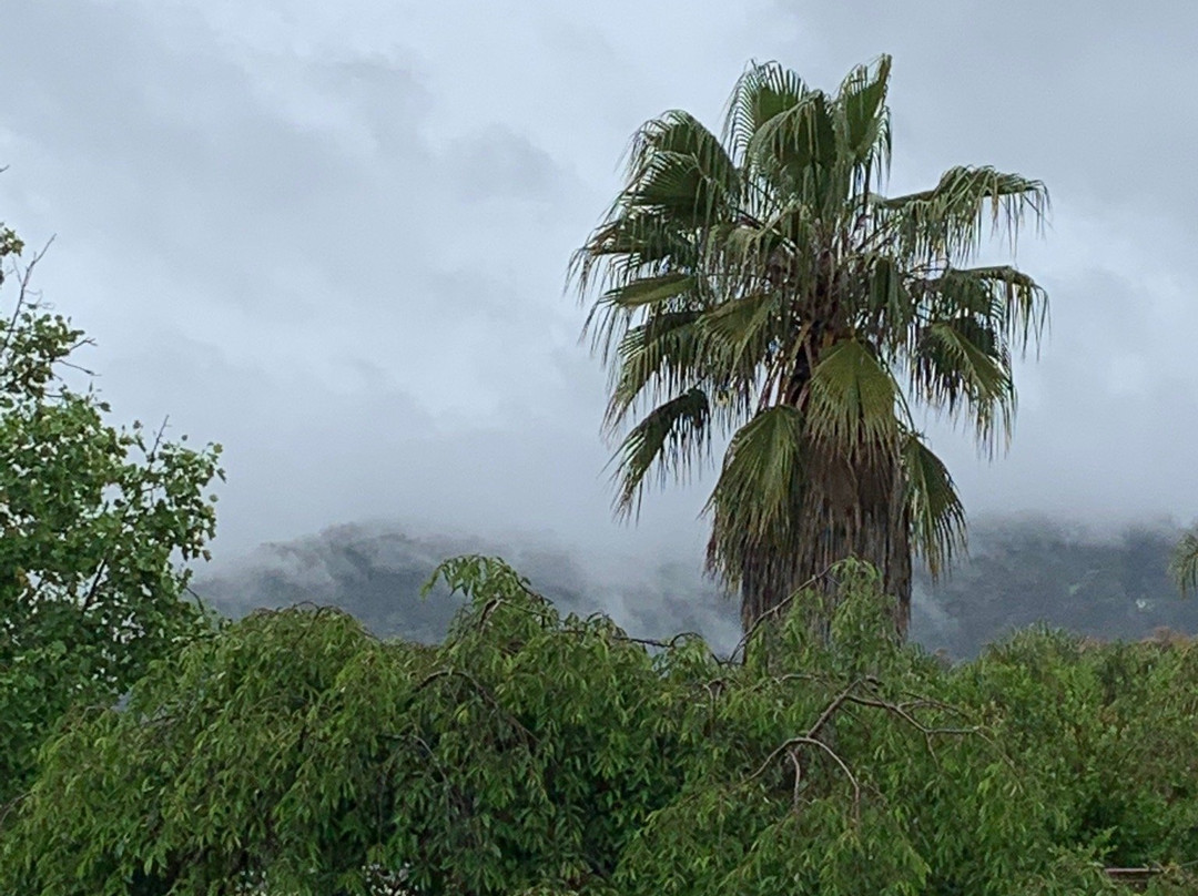 Nightcap at York on Lilydale主图