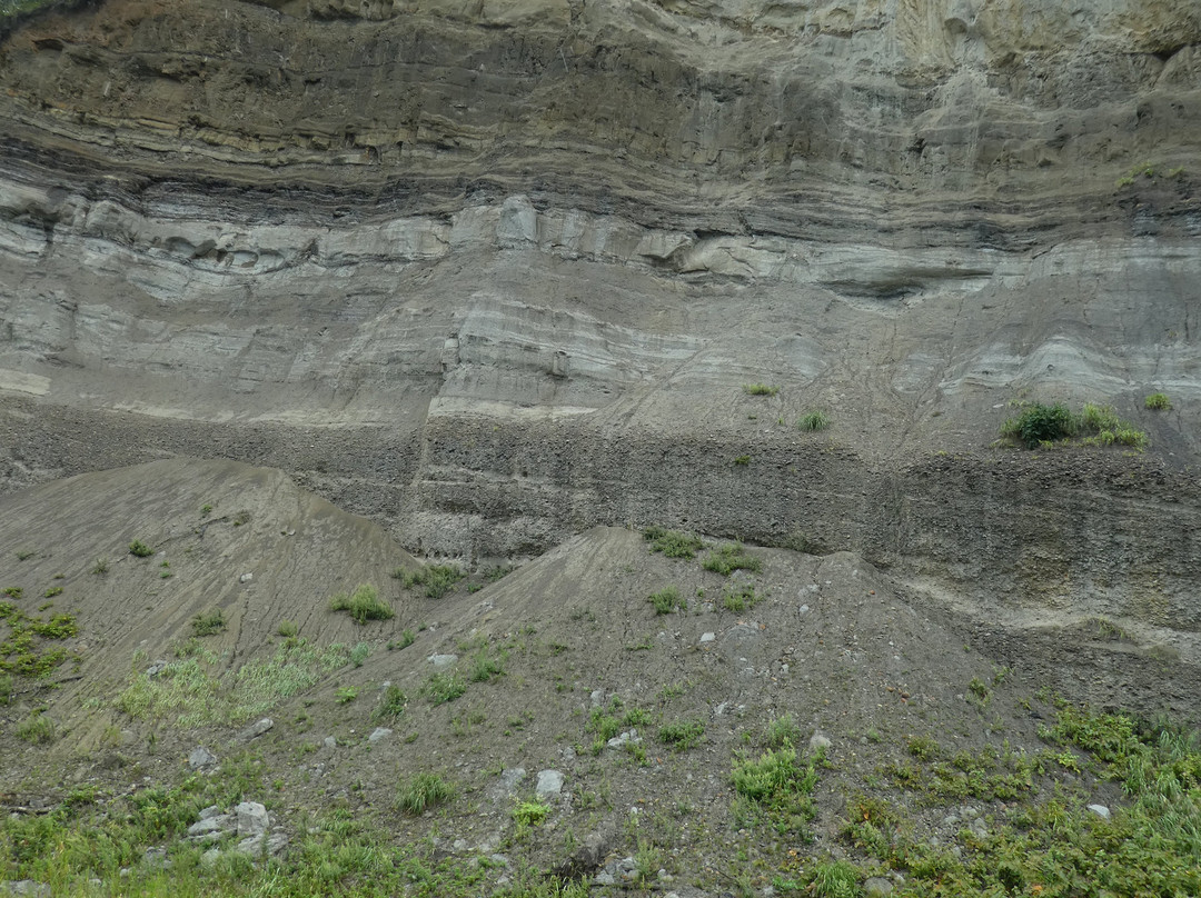 Hanzakino Noda Group