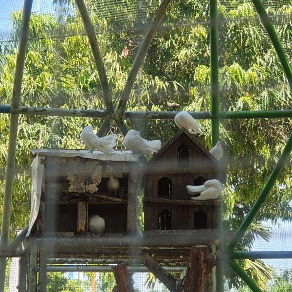 Madiun City Square-Madiun必去景点