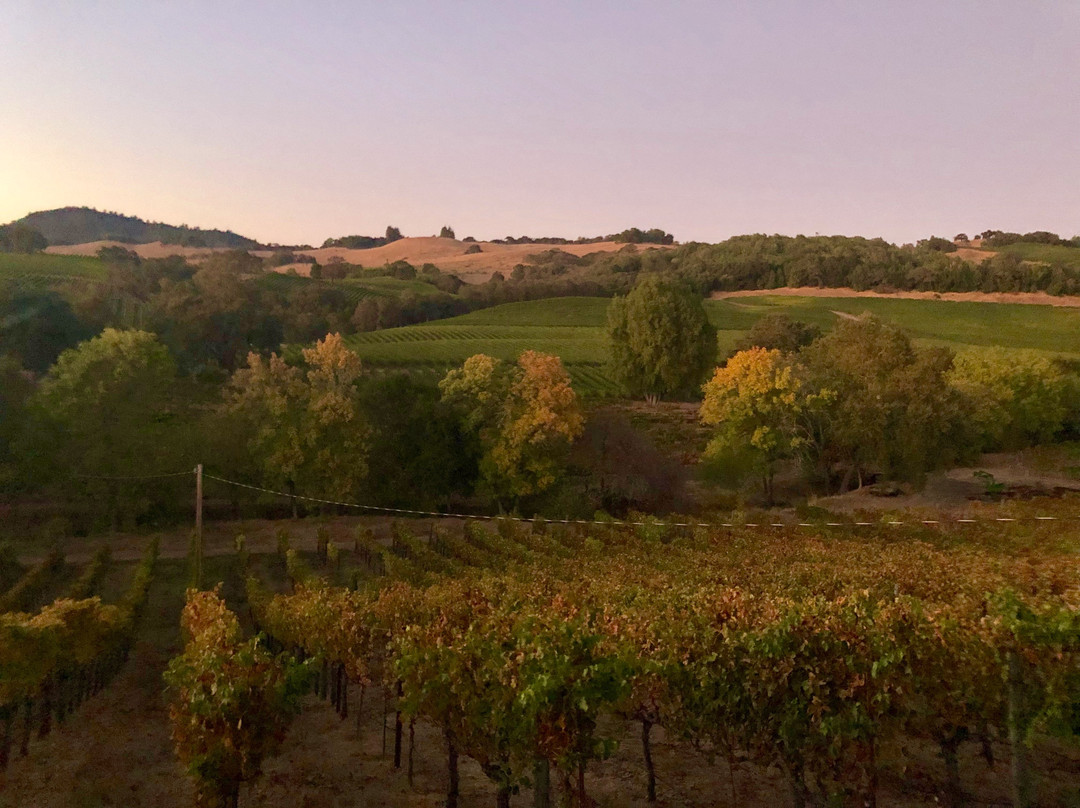 Christopher Creek Winery景点图片