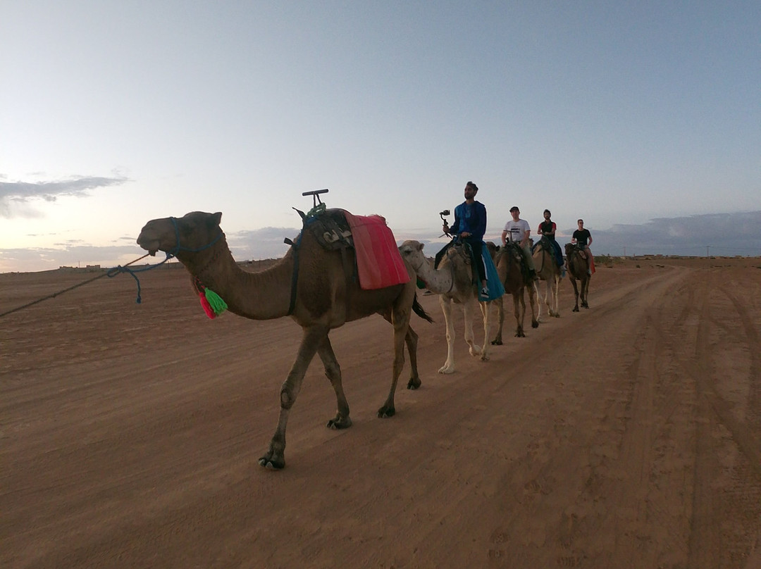 Viajes Baratos Marruecos-非斯必去景点