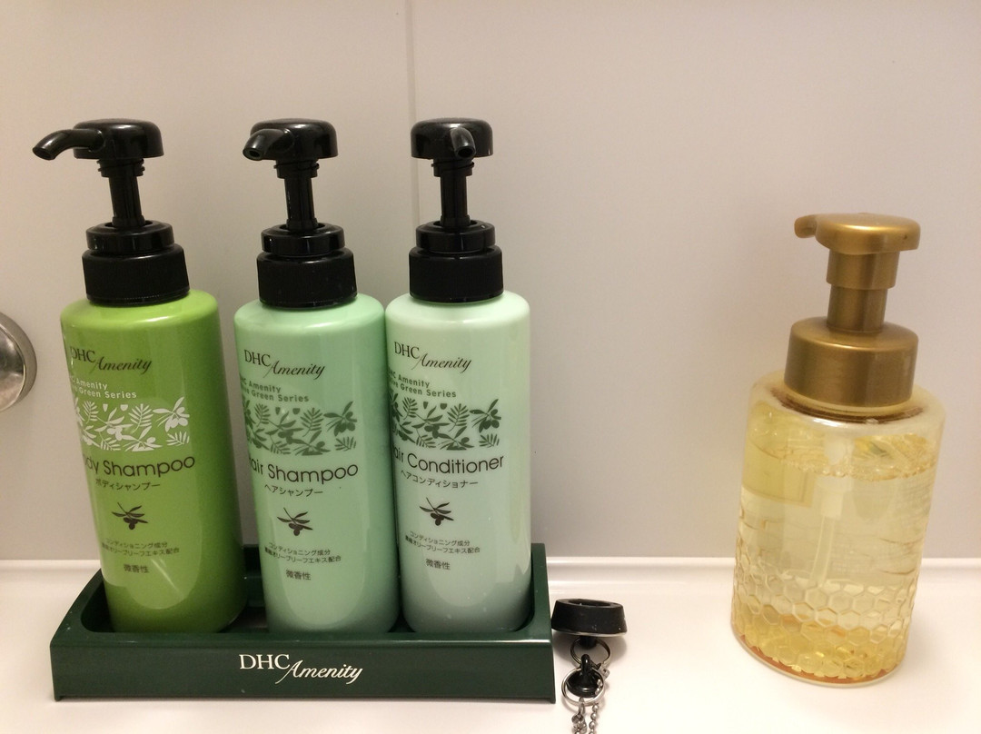 Hotel Trend Okazaki Ekimae主图