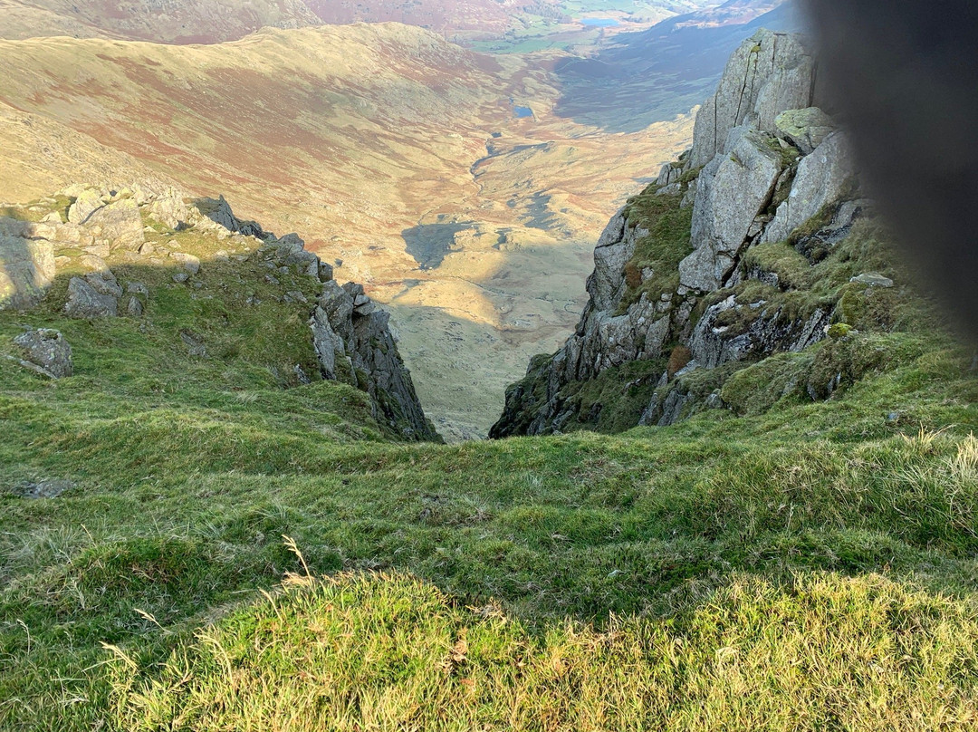 The Wilson's Arms主图