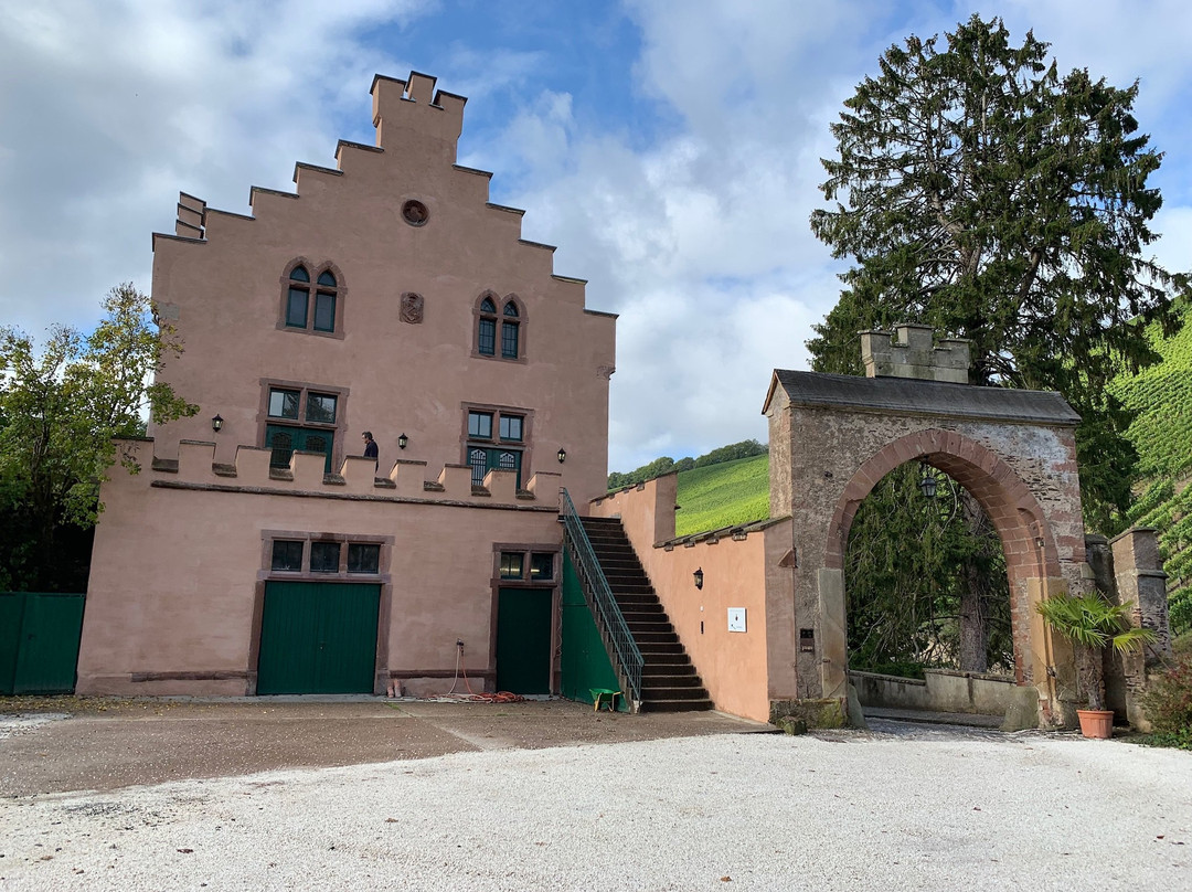 Weingut Maximin Grunhaus景点图片
