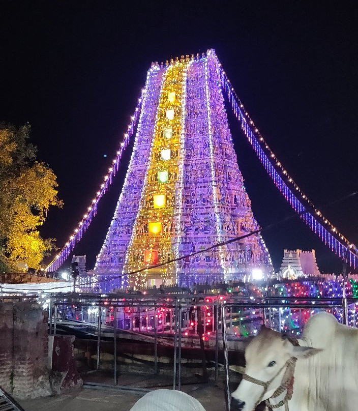 Sri Durga Malleswara Swamy Varla Devasthanam景点图片