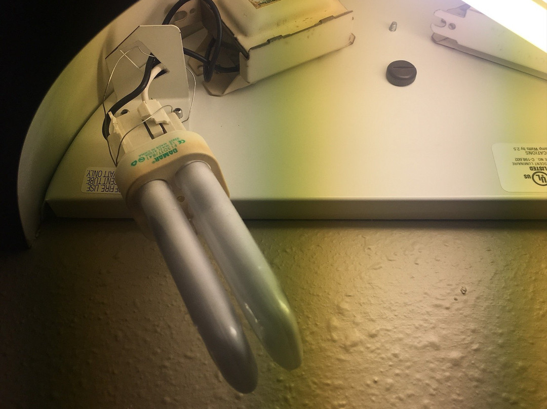 Microtel Inn & Suites by Wyndham Salisbury主图