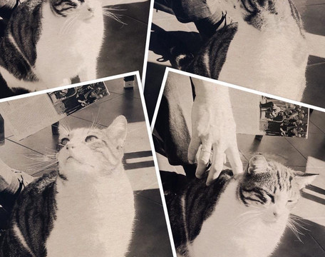 孔佩塔阳台别墅酒店主图