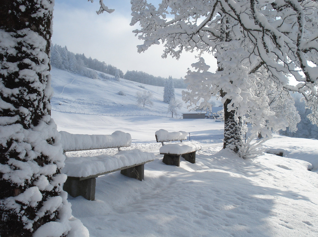 Wanderschafe.ch