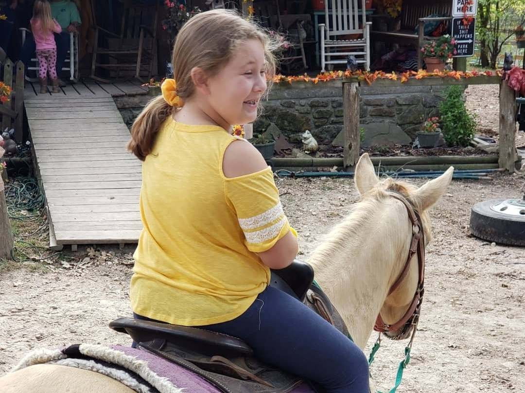 OK Trading Post-山景城必去景点