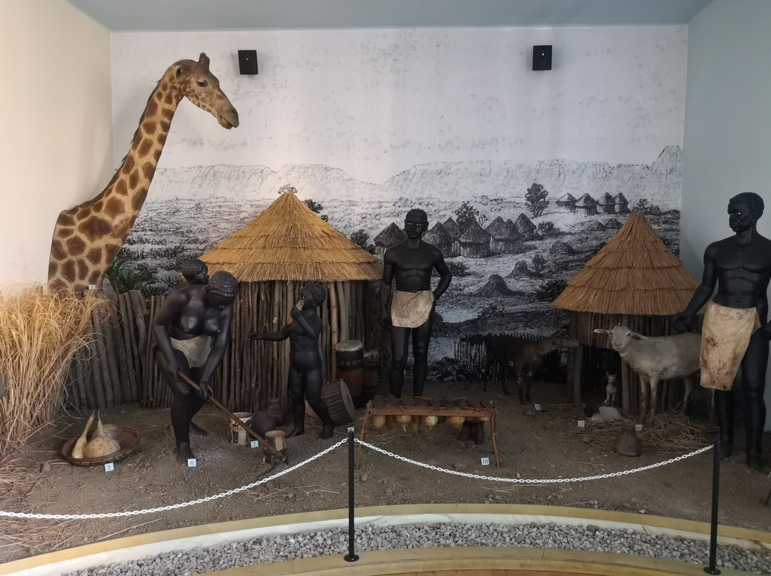 African Museum by Dr. Emil Holub景点图片