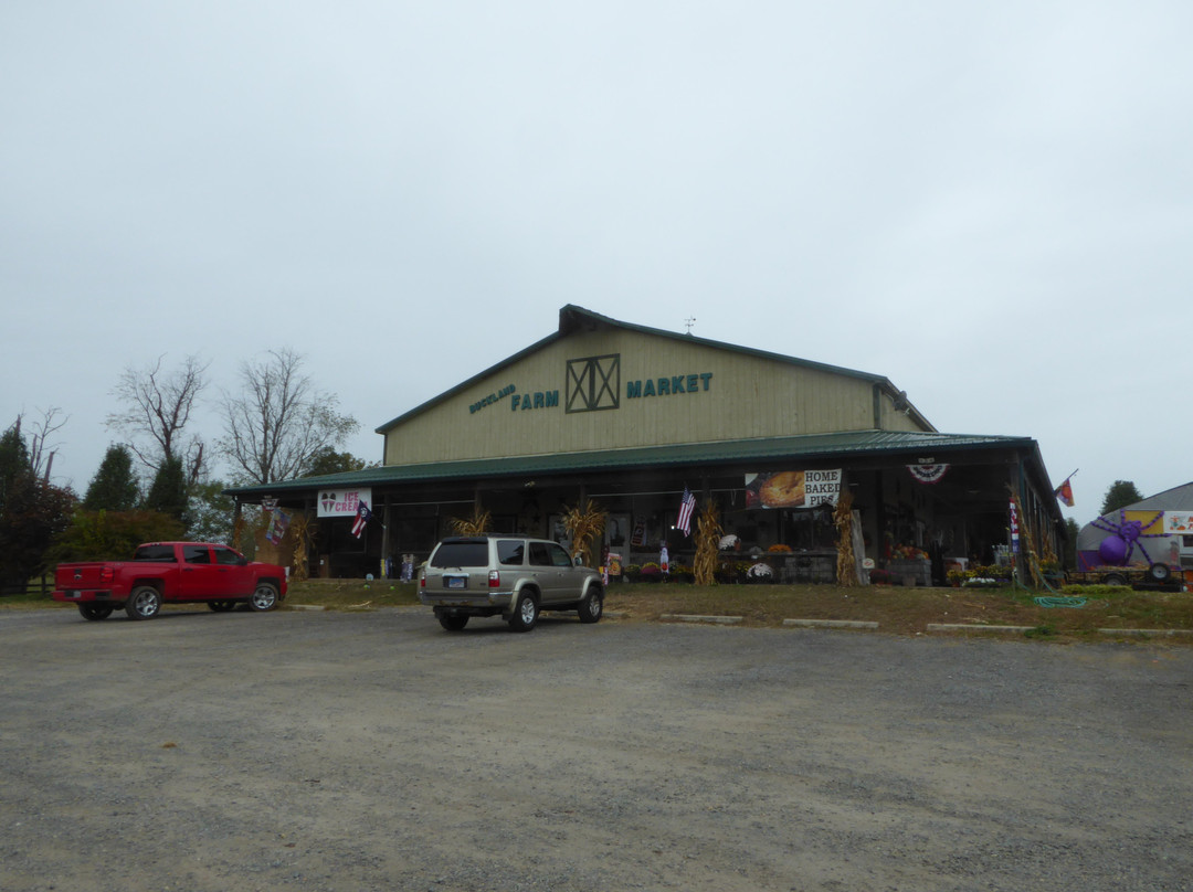 Buckland Farm Market-New Baltimore必去景点