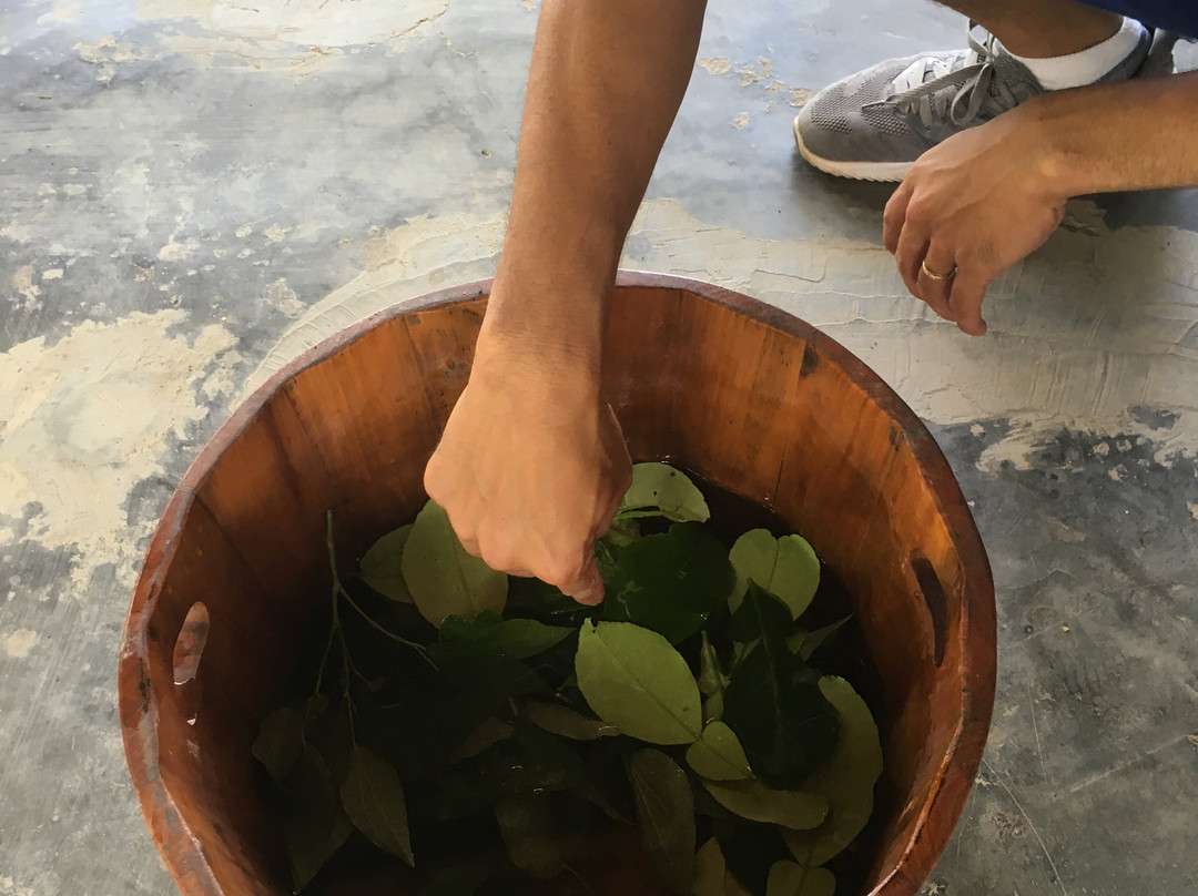 Hue Eco Tours景点图片
