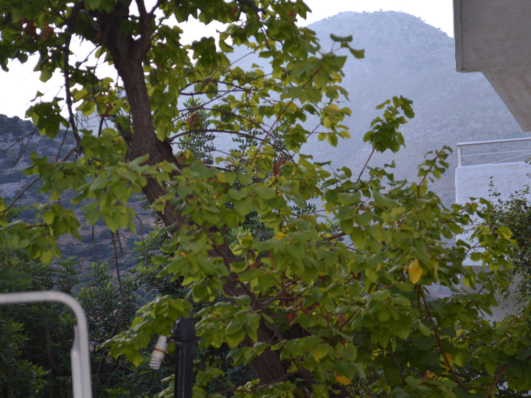 Bali Mare Hotel主图