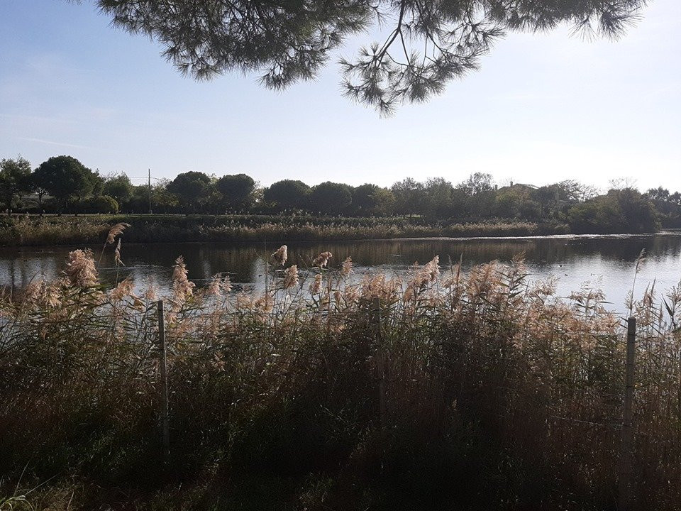 Oasi Parco dei Laghetti景点图片