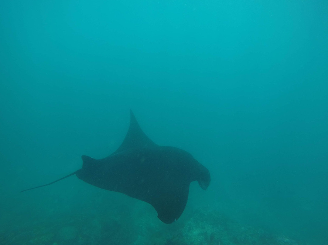 Penida Snorkeling Tour-克隆孔必去景点