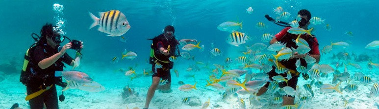 CubaTreasures-巴拉德罗必去景点