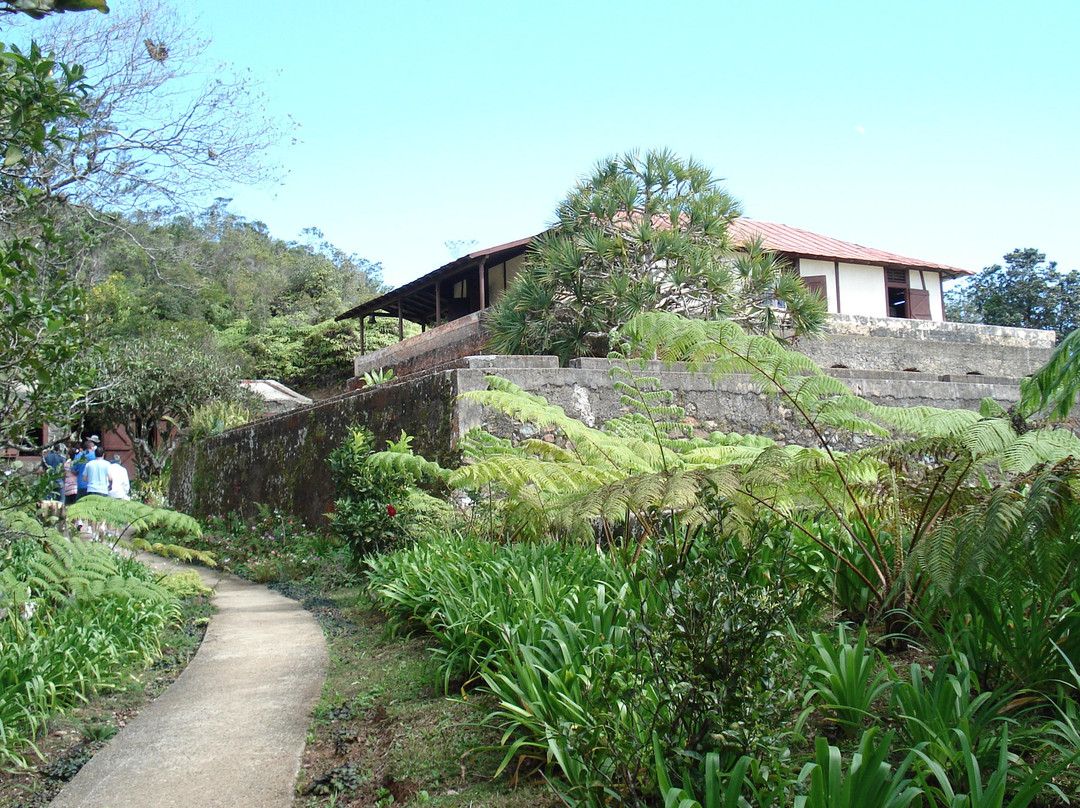 La Isabelica Museum景点图片