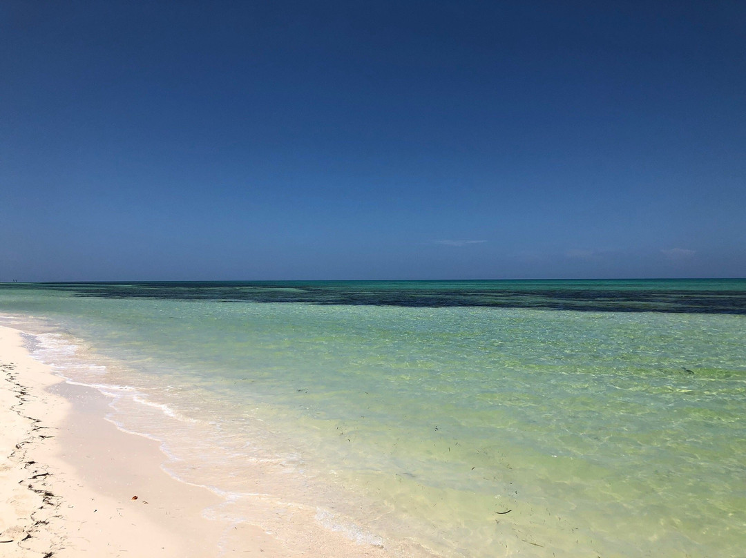 Kitesurf Cuba Travel景点图片