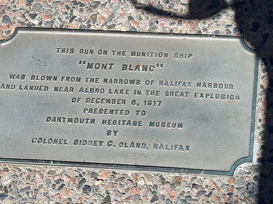 Mont Blanc Cannon Site景点图片
