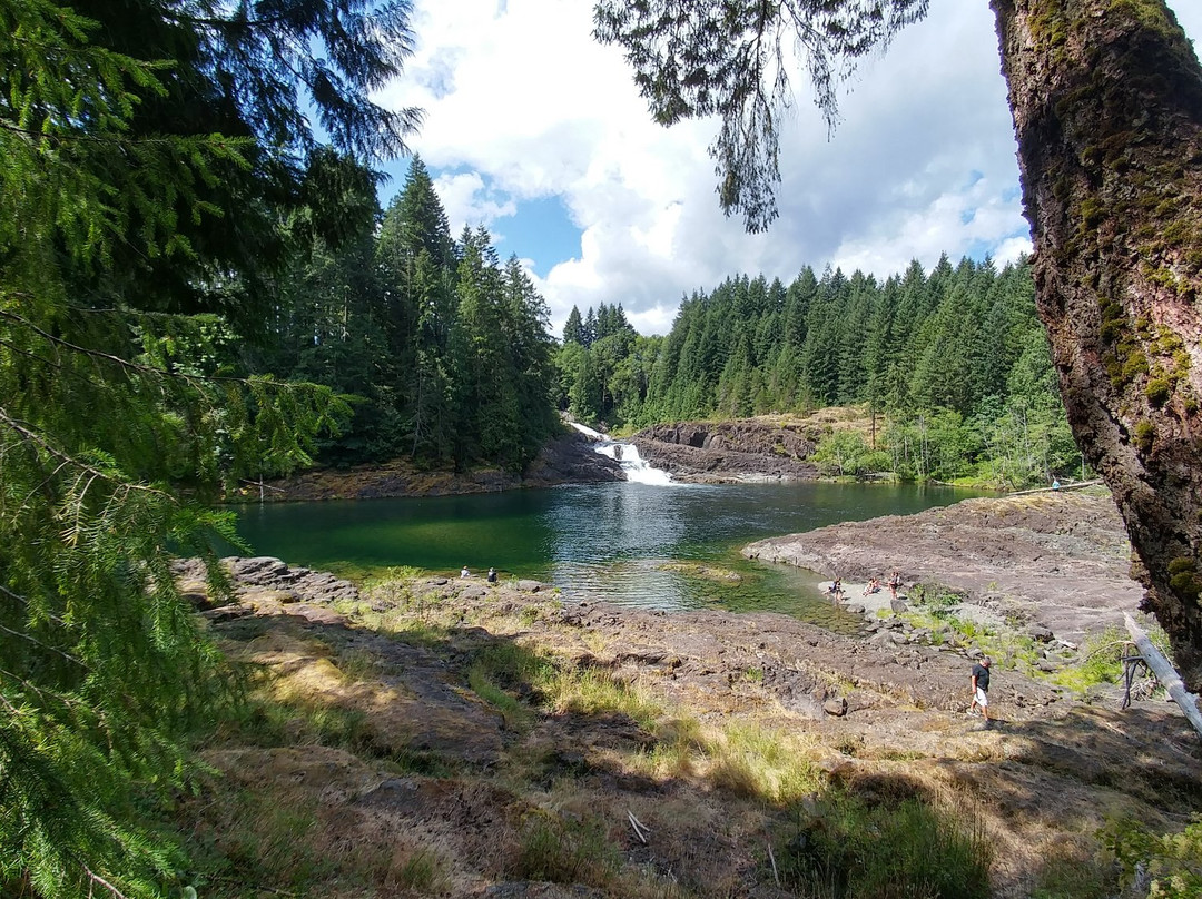 Elk Falls Provincial Park景点图片