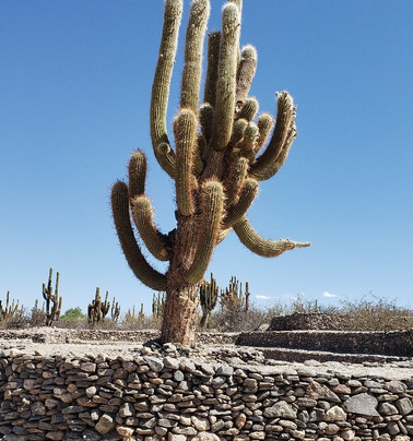 Apacheta Viajes-萨尔塔必去景点