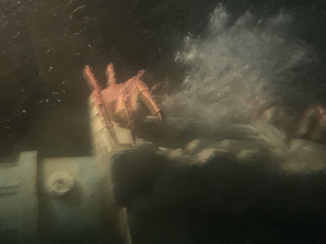 Finding Nemo Submarine Voyage-阿纳海姆必去景点