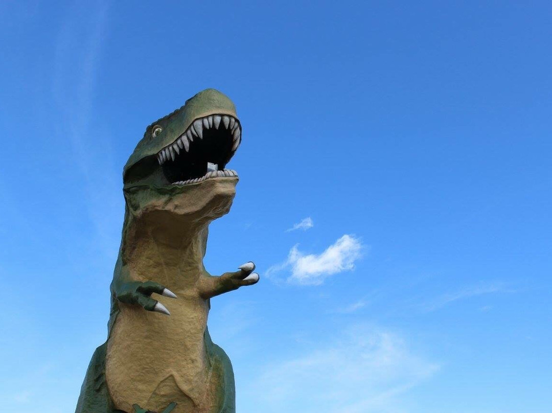 Jurassic Store Wild Wear景点图片