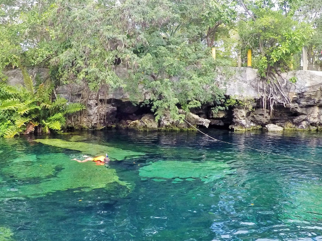 Cenote Cristalino景点图片