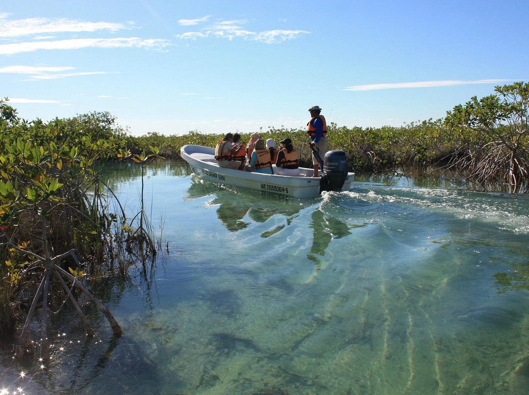 Cesiak Tours-图伦必去景点
