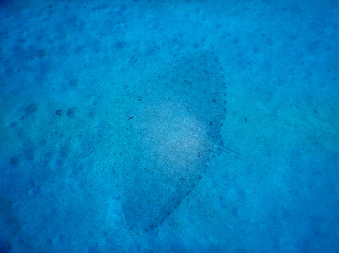 Indigo-Shavei Tzion必去景点