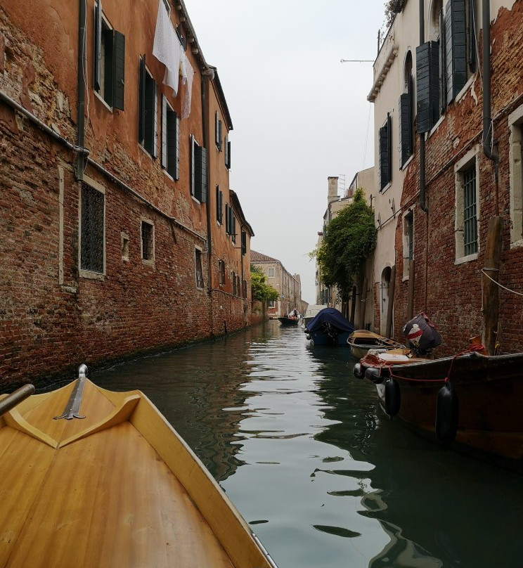 Row Venice景点图片