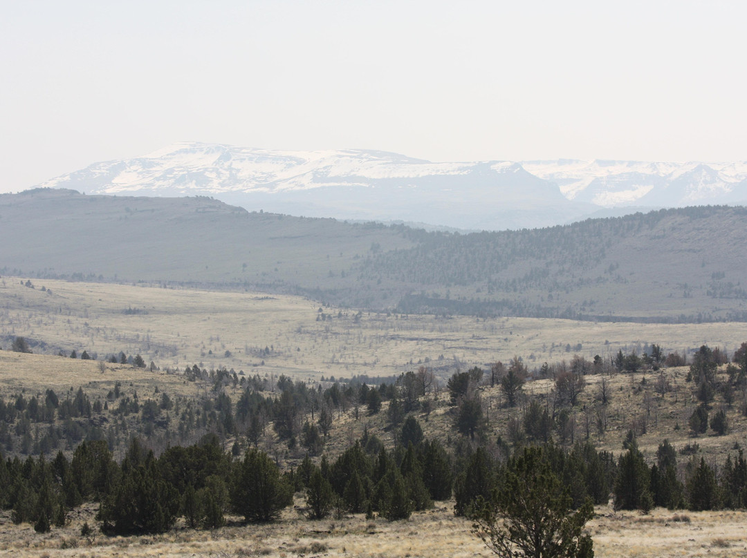 Kiger Mustang Management Area