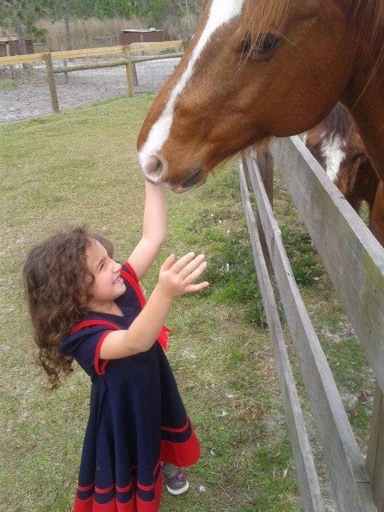 CJ Acres Animal Rescue Farm-Keystone Heights必去景点