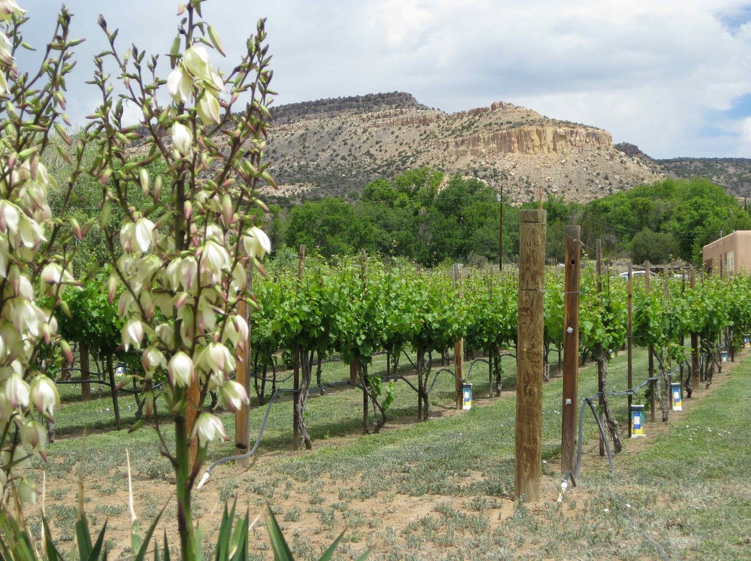 Guadalupe Vineyards景点图片