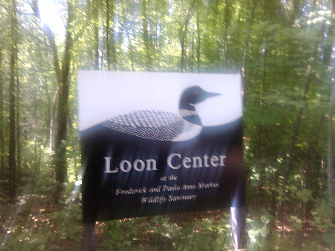 The Loon Center景点图片