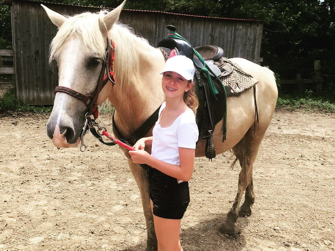 Rockin' P Ranch Public Riding Ranch