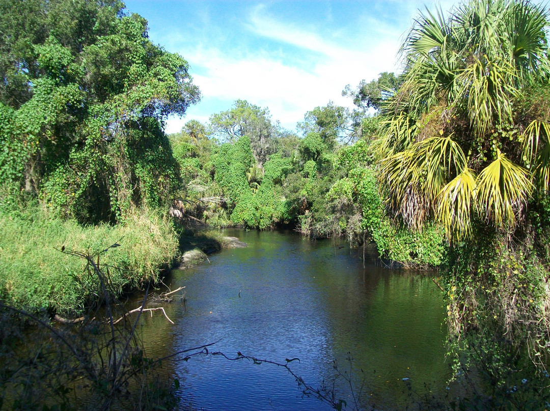 Little Manatee River State Park景点图片