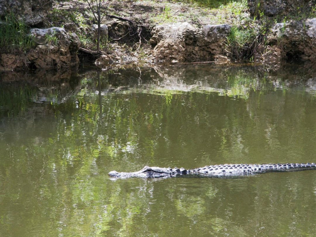 Turner River Paddling Trail