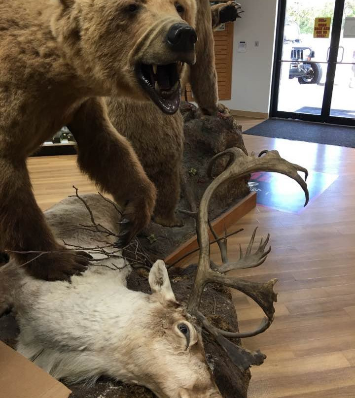 Shoot Straight-萨拉索塔必去景点